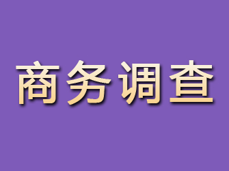 开平商务调查